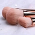 Brush Set