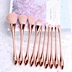 Brush Set